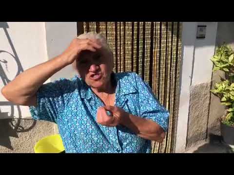 L’orsa Peppina fa strage di polli a Pettorano sul Gizio