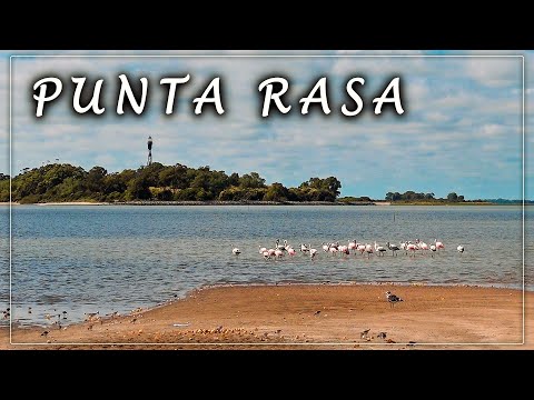 ASOMBROSO ☀️ EL RÍO convirtiéndose EN MAR 🌅 Punta Rasa - San Clemente del Tuyu, Buenos Aires