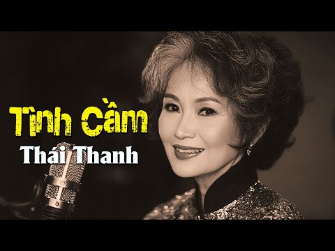 TÌNH CẦM (PHẠM DUY - THƠ HOÀNG CẦM) - THÁI THANH