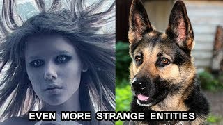 'Even More Strange Entities' | True Paranormal Stories