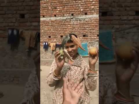 #comedy #youtubeshorts #trending #fun #viral #shorts #tiki #video 🍓🍉🔥🍿😎🎁🍒🥭💯