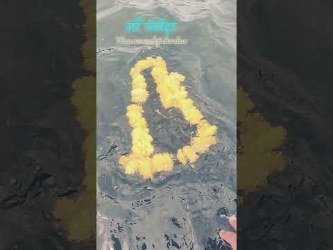 #narmada #nimadi #sagar #kinare #love #water #flower #river #love #maa #narmadamission #ganga #fire