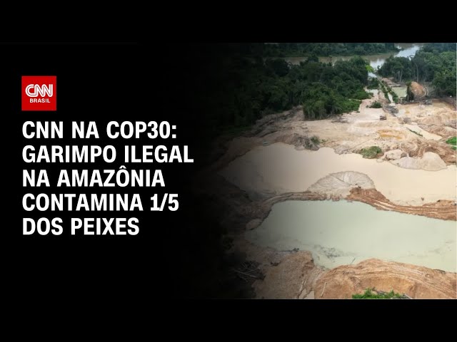 Garimpo ilegal na Amazônia contamina 1/5 dos peixes | CNN NOVO DIA