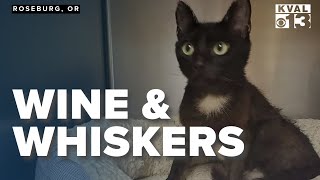 Wine and Whiskers: Roseburg Residents Support Shelter Pets at Annual Event