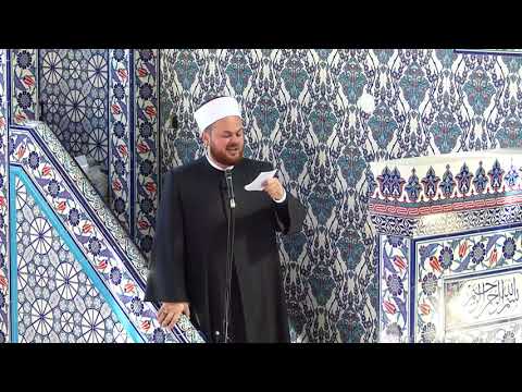 Rejhan ef. Hot  "9. mart, Dan žena"