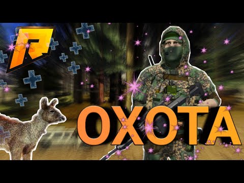 ОХОТА НА РАДМИР РП | КАК ПРАВИЛЬНО ОХОТИТЬСЯ? | ПРИБЫЛЬ! | КАК ЗАРАБОТАТЬ МНОГО ДЕНЕГ? | RADMIR RP