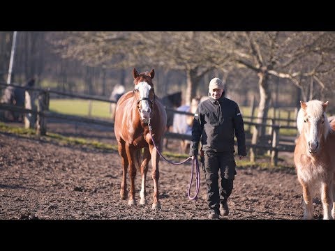 Raiffeisenbank eG Leezen | Henning Ramm | Firmenkunde