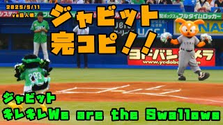 [分享] 讀賣巨人吉祥物跳養樂多燕子應援舞