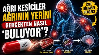 Ağrı Kesiciler Ağrının Yerini Gerçekten Nasıl Buluyor? | Bilgi Dosyası