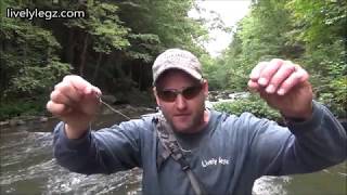 Informative Beginners Nymph Fishing Trout Video W/ Tips On Stream