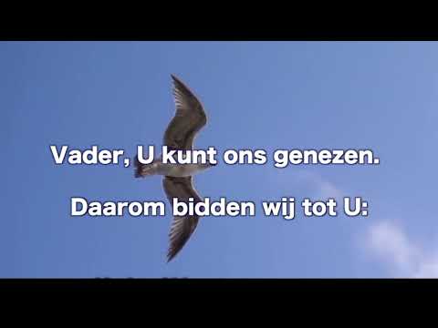 Opwekking 463 Daal met uw Geest neer