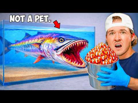 Pet Barracuda vs 5 Levels of Fish...