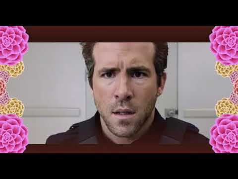 Kamélie - Bakalářský film ze Zlína