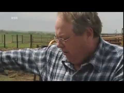 4. AZK - Film - Die arme Sau