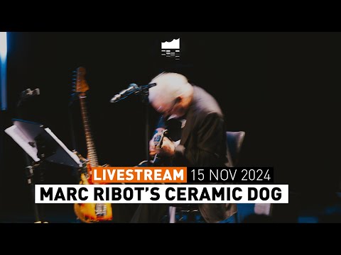 Marc Ribot’s Ceramic Dog | Elbphilharmonie LIVE