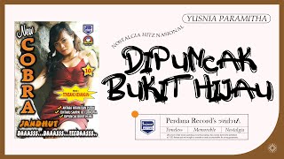 Download lagu Di Puncak Bukit Hijau - Yusnia Paramitha - New Cobra Jandhut vol.10 mp3