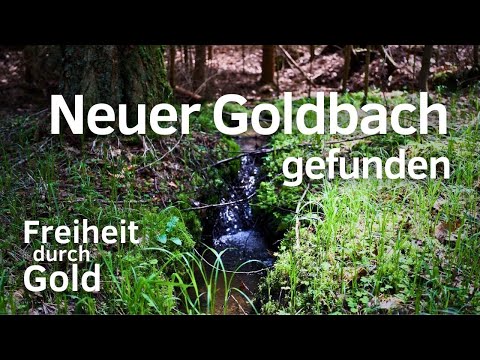 Goldwaschen in Deutschland | Neuer Goldbach gefunden