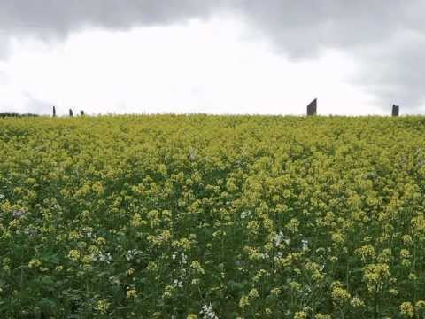 Nelson Eddy Sings - The Lost Chord