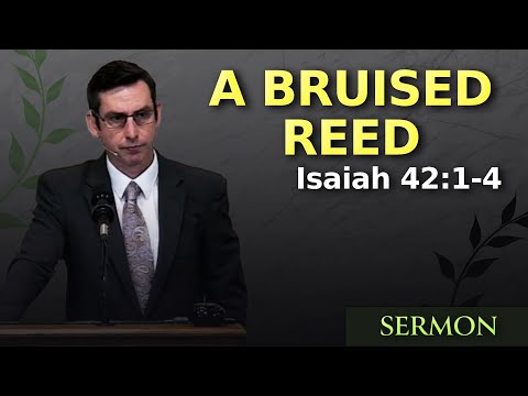A Bruised Reed | Isaiah 42:1-4