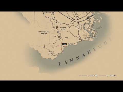 RDR 2: Getting a Perfect Panther Pelt for the Legend of The East Satchel