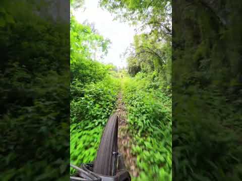 Trilhas do Pedal Do Léo Ivoti RS  #mtb #pedal #ciclismo