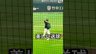 坂本勇人選手の美しいスローイング #shorts