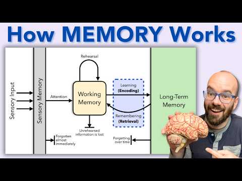 Why You Forget Everything You Learn...and what to DO about it!