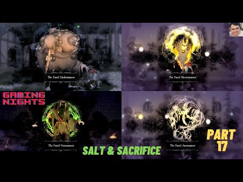 Salt And Sacrifice - Let's Play Part 17 The Fated Hydromancer, Aeromancer, Venomancer, Electromancer