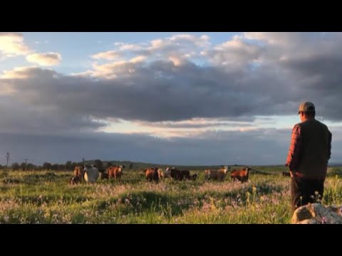 , title : 'בודדים בחווה | סיפורם המורכב של חקלאי הצפון שנמצאים בקרב הישרדות'