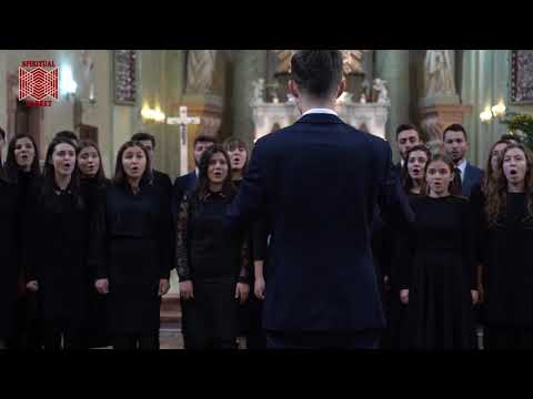 Corul de cameră Signum - Vă bucurați