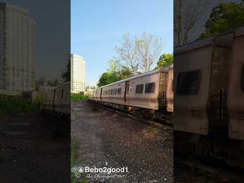 #MTA Metro-North Harlem Line Trains at White Plains curve (#Shorts #Trains #NewYork)