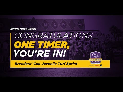 2021 Speakeasy Stakes - One Timer