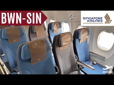 SINGAPORE AIRLINES | ECONOMY CLASS | BOEING 737 MAX 8 | BRUNEI - SINGAPORE | 4K | TRIPREPORT UHD