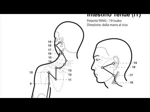 Olisticmap - I 12 meridiani della Medicina Tradizionale Cinese