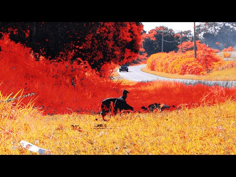 Pena de Urubu - Raul Aú feat SAMO (prod. Davzera) Videoclipe