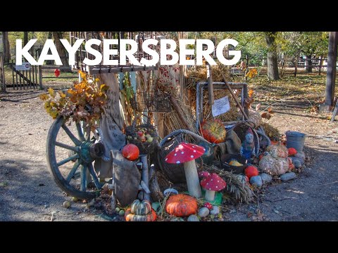 Elsass Herbst 2018 - Kaysersberg - SPECIAL