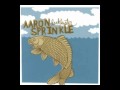 Aaron Sprinkle - Really Something 