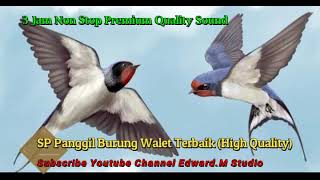 Download lagu 3 Jam non Stop !! Bunyi Panggil Burung Walet Gred Super Terbaik!!! Ilmu Pelet  Burung walet mp3