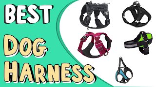Top 8  Best Dog Harness in 2022 _ Dog Harness on Amazon