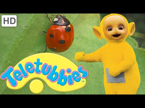 Teletubbies: Ladybirds (Beetles) - Full Episode