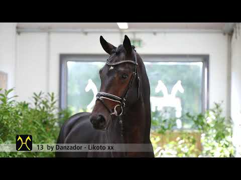 Verden Stallion Licensing 2021 - Dressage -  Nov. 4-6 - No. 13 Stallion by Danzador - Likoto xx