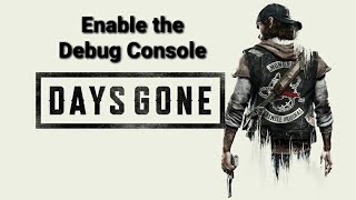 How to install debug console DAYS GONE