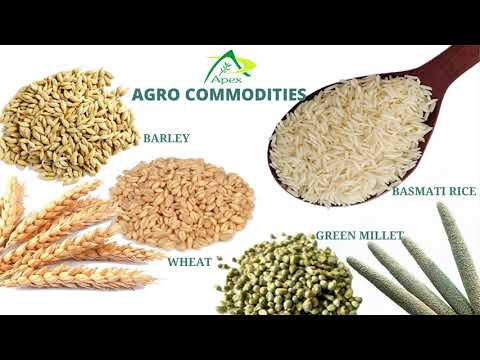 Turmeric curcumin capsules 95% with piperine, 30 capsule, bo...