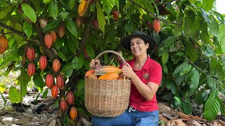 Receitas com chocolate natural, feito com cacau fresco colhido direto do pé