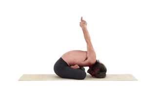 SIGILLO DELLO YOGA – YOGA MUDRA ASANA