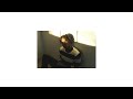 Daniel Caesar Who Knows 1 Hour Loop