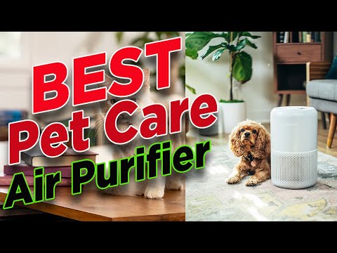 ✌️ Best True HEPA Air Purifiers For Pets Medium Rooms 🏆 Core P350 Air Purifier For Pets [Reviews]
