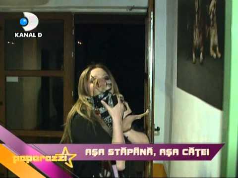 D-Paparazzi, Kanal D, Anca Badiu isi cazeaza cainii la un hotel de cinci stele