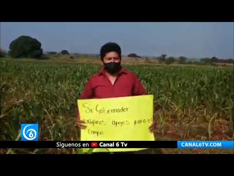 Gobierno de Veracruz deja sin apoyos a campesinos de la Sierra de Soteapan