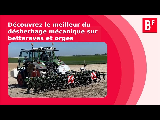 Le meilleur du désherbage mécanique à Fère-Champenoise